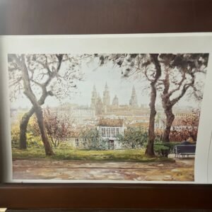 LAMINA (ALAMEDA SANTIAGO) 🖼